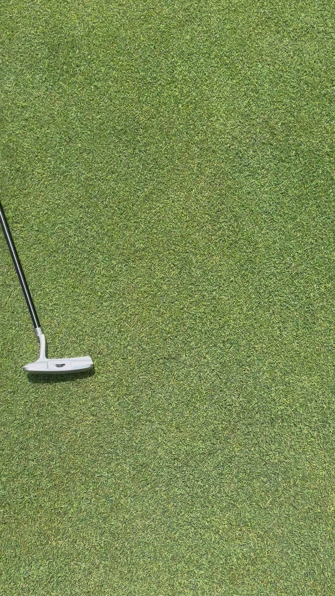 toddler golf club