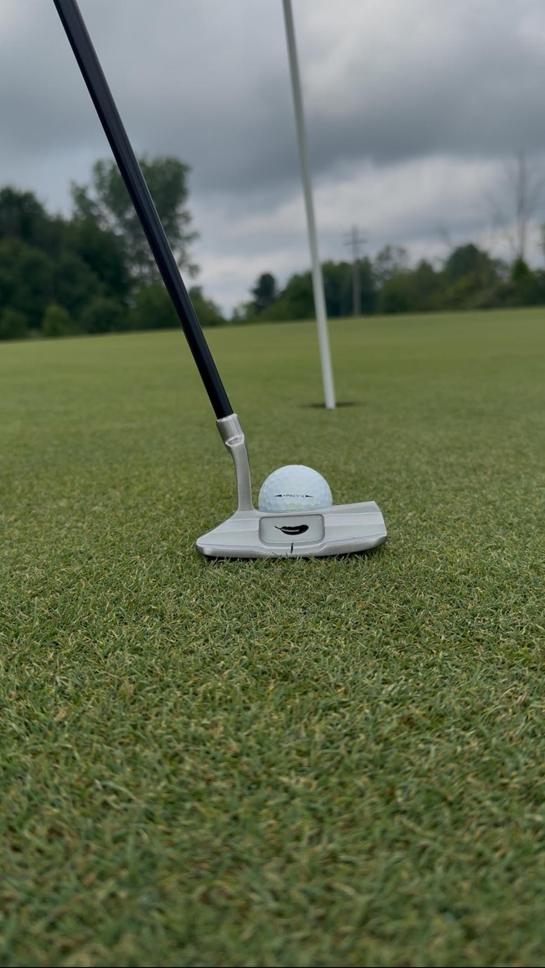 Kids Putter and Golf Ball with Pin in background