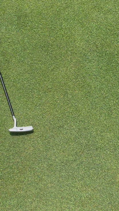 Toddler Golf Club - Kids Putter for Ages 3-5 with Headcover
